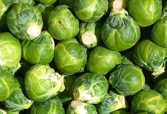 Sprouts